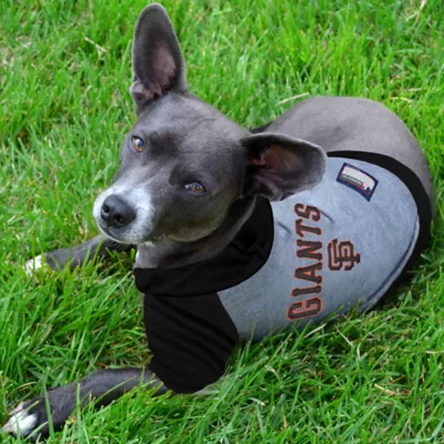 Product San Francisco Giants MLB Hoodie Tee