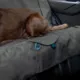 Product Kurgo® Rover Bench Dog Seat Cover - Water Resistant - Scratch Proof - 55" Wide