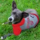 Product Washington Nationals MLB Hoodie Tee