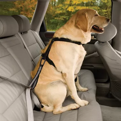 Product Kurgo® Dog Seat Belt Tether with Carabiner - Enhanced Strength Replacement Tether - Black & Silver