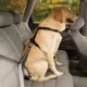 Product Kurgo® Dog Seat Belt Tether with Carabiner - Enhanced Strength Replacement Tether - Black & Silver