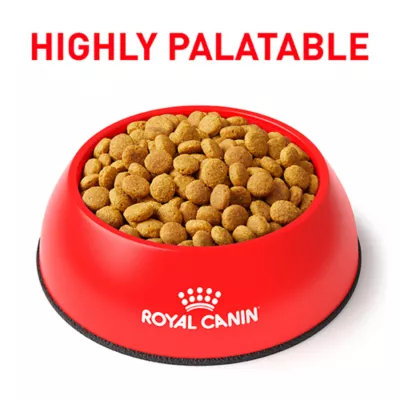 Product Royal Canin Veterinary Diet Multifunction Adult Dry Cat Food - Urinary SO + Satiety