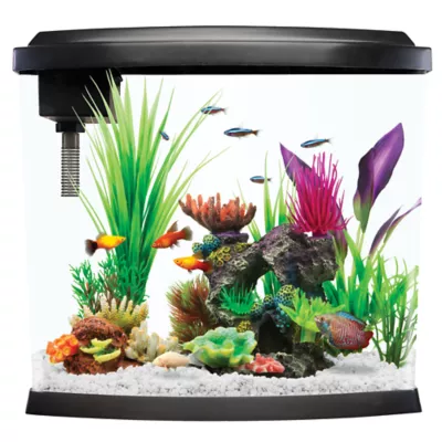 Product Top Fin® Split Bowfront Aquarium - 5 Gallon