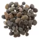 Product Zoo Med Aquatic River Pebble
