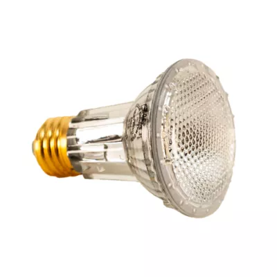 Product Zoo Med Repti Tuff Splashproof Lamp