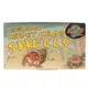Product Zoo Med Mixed Fancy Hermit Crab Shells