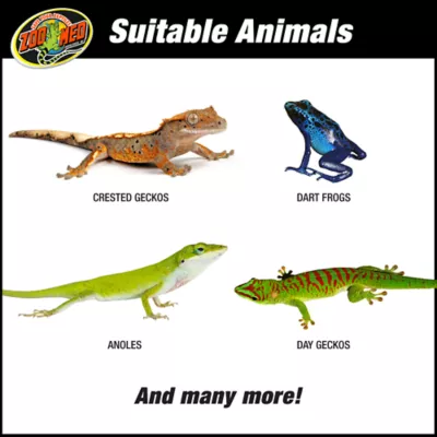 Product Zoo Med Tropical Reptile Terrarium Kit