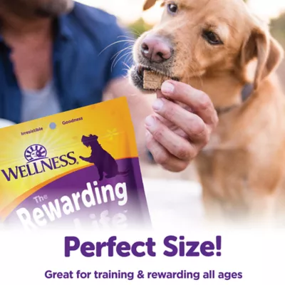 Product Wellness The Rewarding Life Dog Treats - Natural, Grain Free, Turkey & Duck