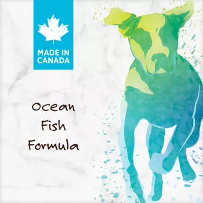 Product Nutrience® Grain Free Dog Food - Ocean Fish