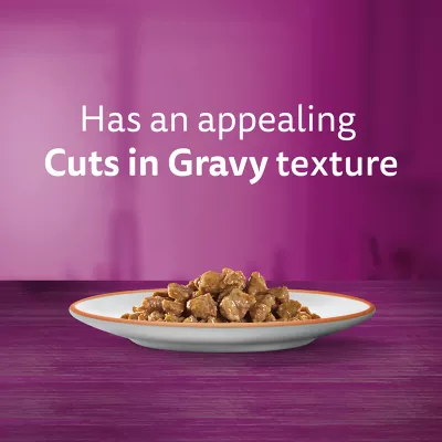 Product Whiskas Perfect Portions Adult Wet Cat Food Cuts In Gravy Salmon Entrée