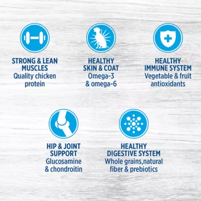 Product Nutrience® Original Large Breed Adult Dog Food - Natural, Chicken Meal & Brown Rice