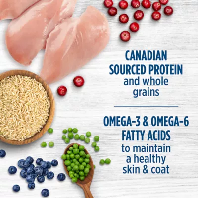 Product Nutrience® Original Large Breed Adult Dog Food - Natural, Chicken Meal & Brown Rice