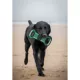 Product Carolina Panthers NFL Field Tug Toy