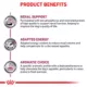 Product Royal Canin® Veterinary Diet Canine Renal Support D Adult Dog Slices in Gravy Wet Food  13 oz can