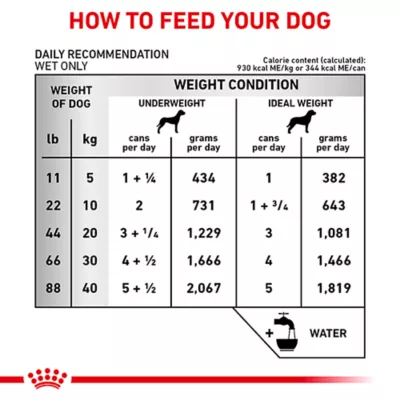 Product Royal Canin® Veterinary Diet Canine Renal Support D Adult Dog Slices in Gravy Wet Food  13 oz can