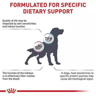 Product Royal Canin Veterinary Diet Canine Multifunction Adult Dry Dog Food - Renal + Hydrolyzed Protein