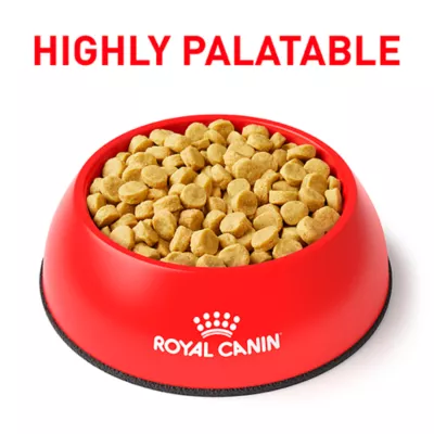 Product Royal Canin Veterinary Diet Canine Multifunction Adult Dry Dog Food - Renal + Hydrolyzed Protein