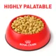 Product Royal Canin Veterinary Diet Canine Multifunction Adult Dry Dog Food - Renal + Hydrolyzed Protein