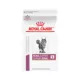 Product Royal Canin® Veterinary Diet Feline Renal Support S Adult Dry Cat Food