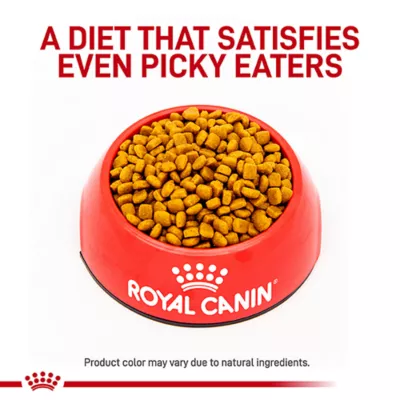 Product Royal Canin® Veterinary Diet Feline Renal Support S Adult Dry Cat Food