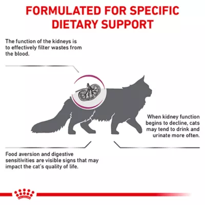 Product Royal Canin® Veterinary Diet Feline Renal Support S Adult Dry Cat Food