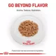 Product Royal Canin® Veterinary Diet Feline Renal Support T Adult Cat Wet Food in Gravy  3 oz can