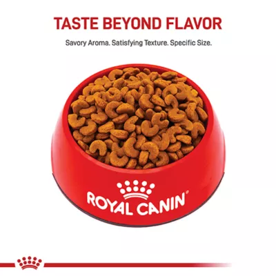 Product Royal Canin Puppy Dry Dog Food - French Bulldog Breed Health Nutrition