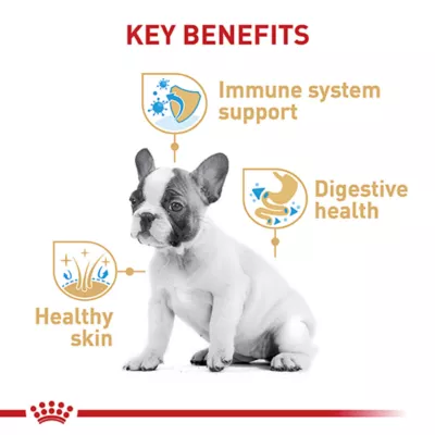 Product Royal Canin Puppy Dry Dog Food - French Bulldog Breed Health Nutrition