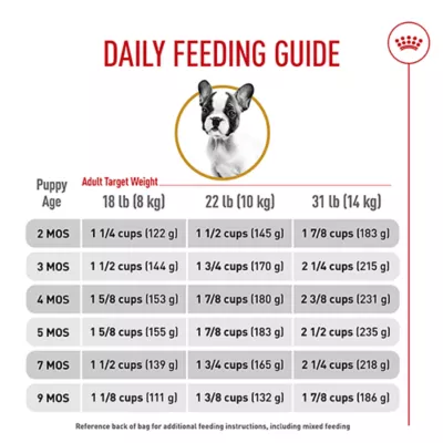 Product Royal Canin Puppy Dry Dog Food - French Bulldog Breed Health Nutrition