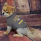 Product Louisiana State University Tigers NCAA T-Shirt