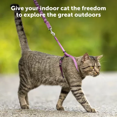 Product PetSafe® Come with Me Kitty Harness and Bungee Leash