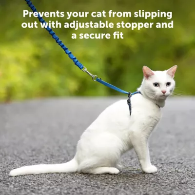 Product PetSafe® Come with Me Kitty Harness and Bungee Leash
