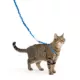 Product PetSafe® Come with Me Kitty Harness and Bungee Leash