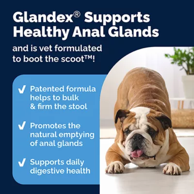 Product Vetnique Labs Glandex® Boot the Scoot® Anal Gland Support Chews for Dogs - Supplement - 60 Count