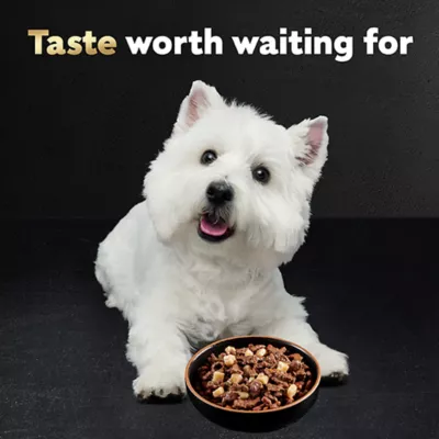 Product Cesar® Classics Home Delights Adult Wet Dog Food - Chunks in Gravy , 3.5 Oz.
