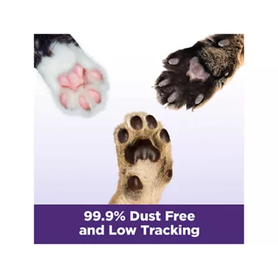Product Arm & Hammer™ Clump & Seal Slide Clumping Multi-Cat Clay Cat Litter - Low Dust