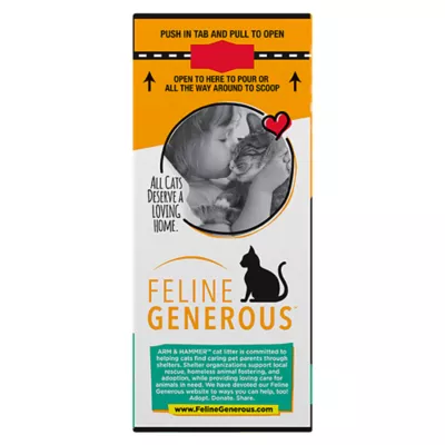 Product Arm & Hammer™ Clump & Seal Slide Clumping Clay Cat Litter - Low Dust