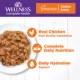 Product Wellness® Complete Health Adult Cat Wet Food - Grain Free, Gravies, 3 Oz