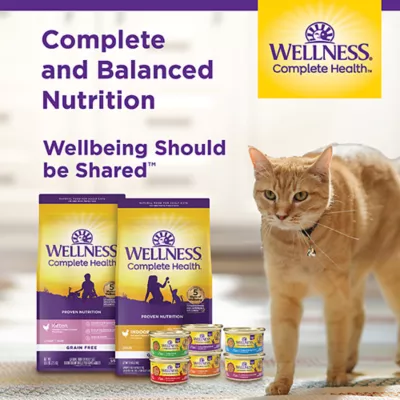 Product Wellness® Complete Health Indoor Adult Cat Food - Natural, Grain Free, Salmon & Herring Meal