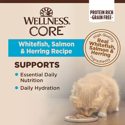 Product Wellness® CORE® Adult Wet Cat Food - Natural, Grain Free, Pate, 3 Oz