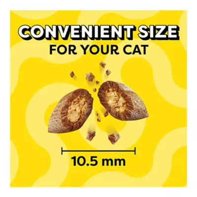 Product Temptations™ Classic Adult Cat Treats - Soft & Crunchy, Savory Salmon