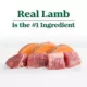 Product Nutro Limited Ingredient Diet Adult Dry Dog Food - Grain Free, Lamb & Sweet Potato