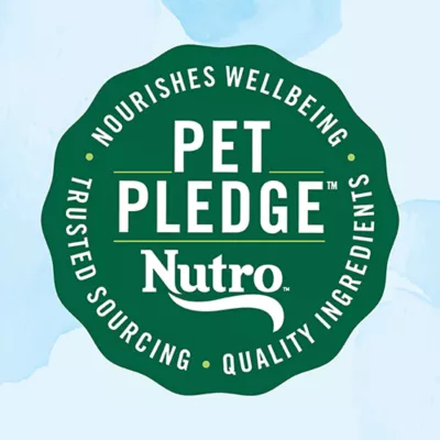 Product Nutro Limited Ingredient Diet Small Bites Adult Dry Dog Food - Grain Free, Lamb & Sweet Potato