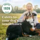 Product Nutro Limited Ingredient Diet Large Breed Adult Dry Dog Food - Grain Free, Lamb & Sweet Potato