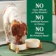 Product Nutro Wholesome Essentials Small Breed Senior Dry Dog Food - Chicken & Brown Rice