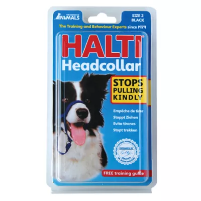 Product Halti® Training Dog Head Collar