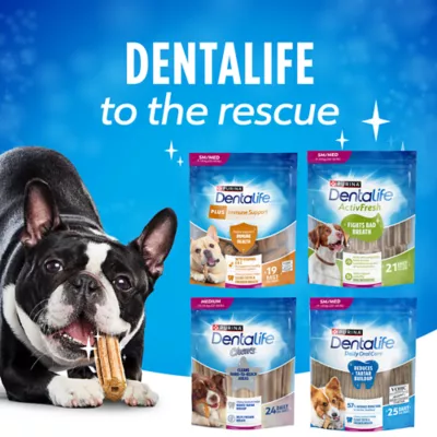 Product DentaLife Daily Oral Care, Dog Treats, Mini Breed