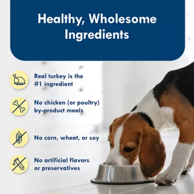 Product Blue Buffalo® Delights Small Breed Adult Wet Dog Food - Roasted Turkey Pate, 3.5 oz