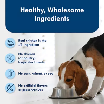 Product Blue Buffalo® Delights Small Breed Adult Wet Dog Food - Roasted Chicken in Gravy, 3.5 oz