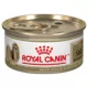 Product Royal Canin Breed Health Nutrition Shih Tzu Adult Loaf in Sauce Wet Dog Food, 3 oz.
